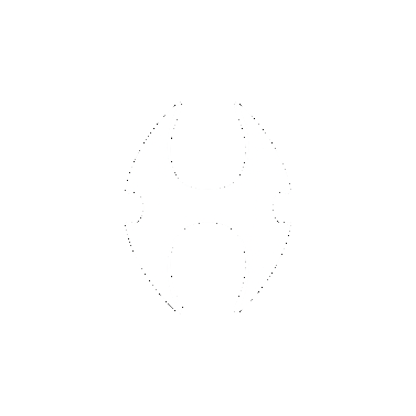 Custom Logo